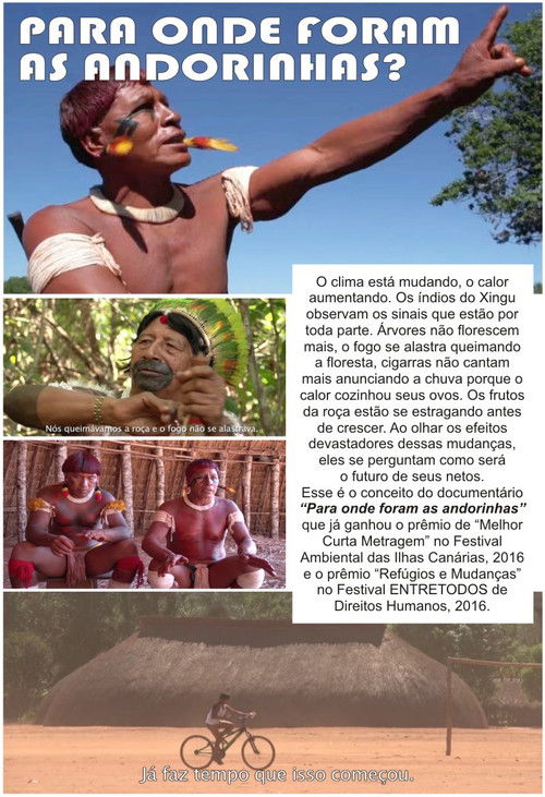 Para Onde Foram as Andorinhas? (2016) poster