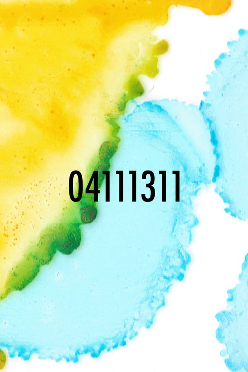 04111311 (2021) poster