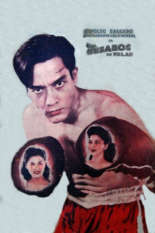 Mga Busabos ng Palad (1948) poster