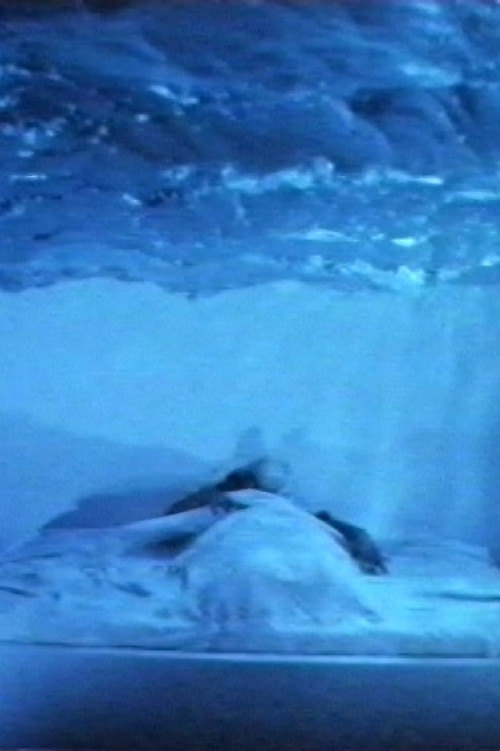L'attacco col fuoco (Plagium 14) (1997) poster