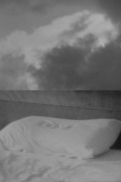 Vislumbres (2024) poster