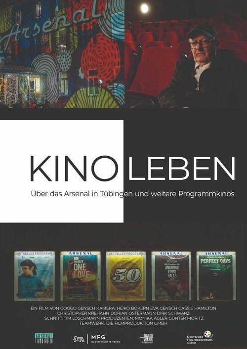 Kinoleben – Über das Arsenal in Tübingen und weitere Programmkinos (2026) poster