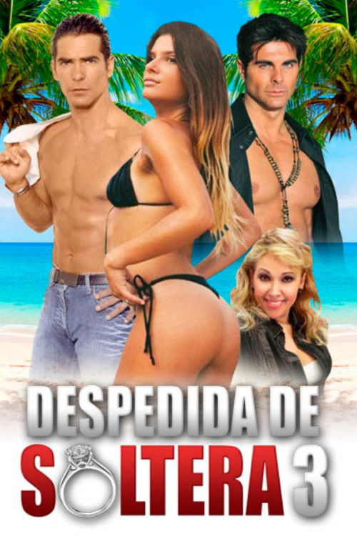 Despedida de soltera 3 (2020) poster