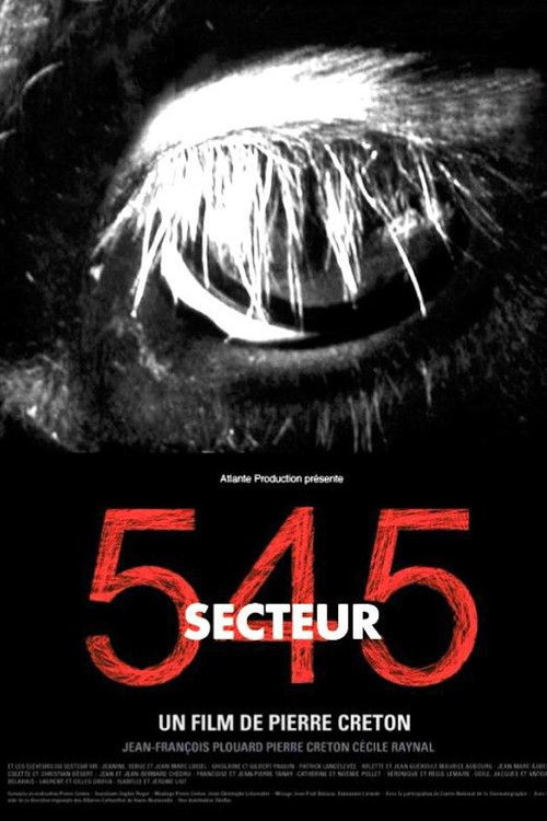 Secteur 545 (2004) poster