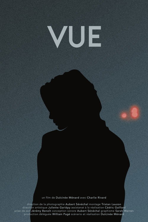 Vue poster