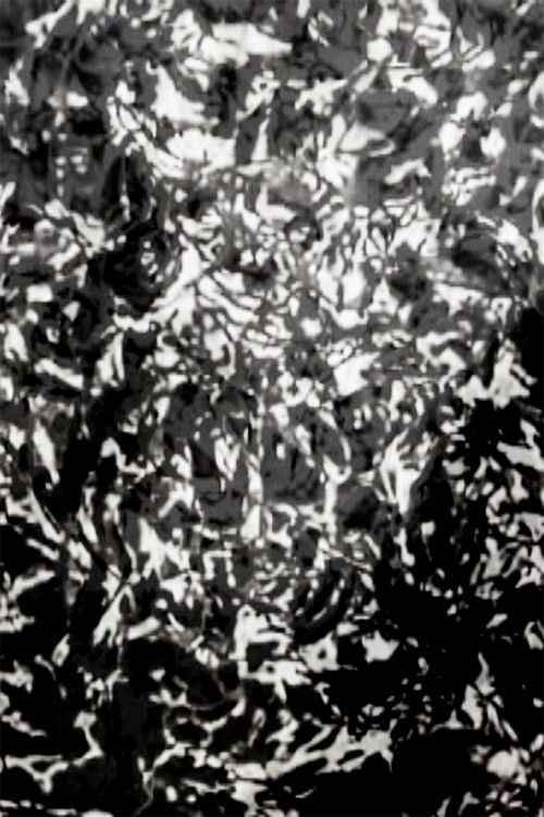 Mesh - P.I.V. 7 (2007) poster