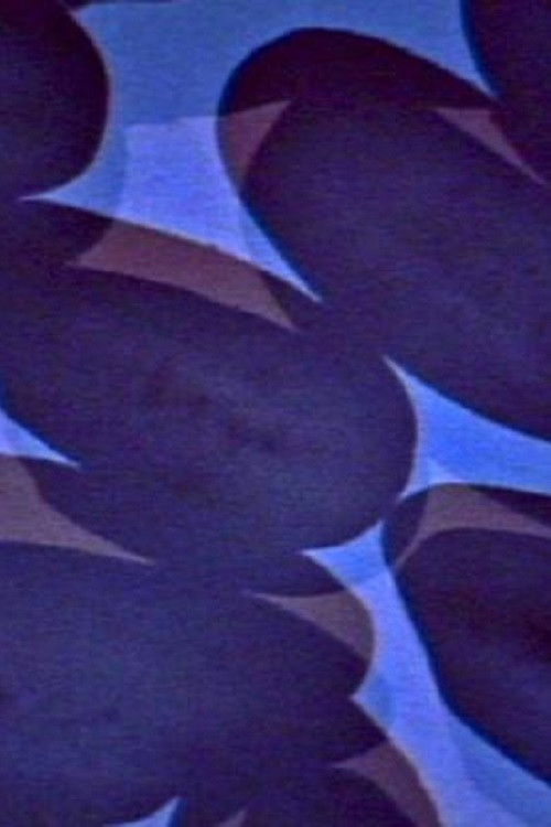 The Sons of Bitches Turned Out the Lights (2003) poster