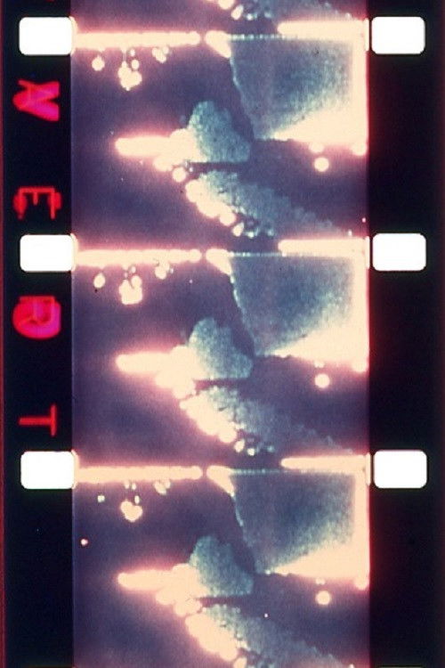 The Politics of Perception (1973) poster