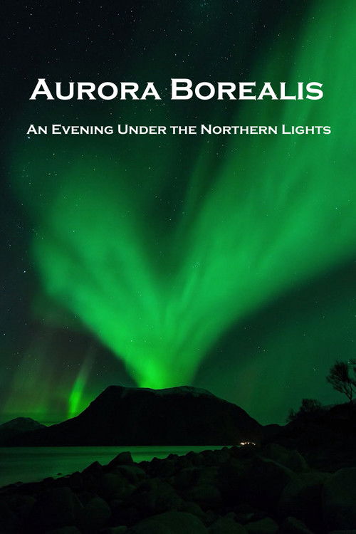 Aurora Borealis: En Helaften Under Nordlyset (2016) poster