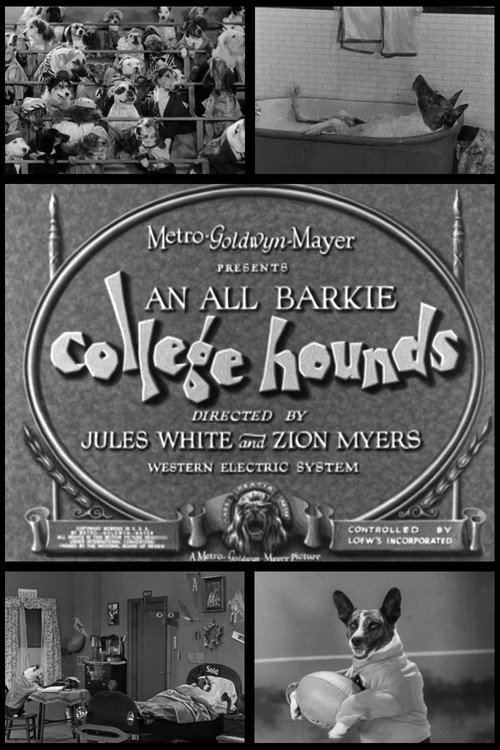 College Hounds (1929) poster