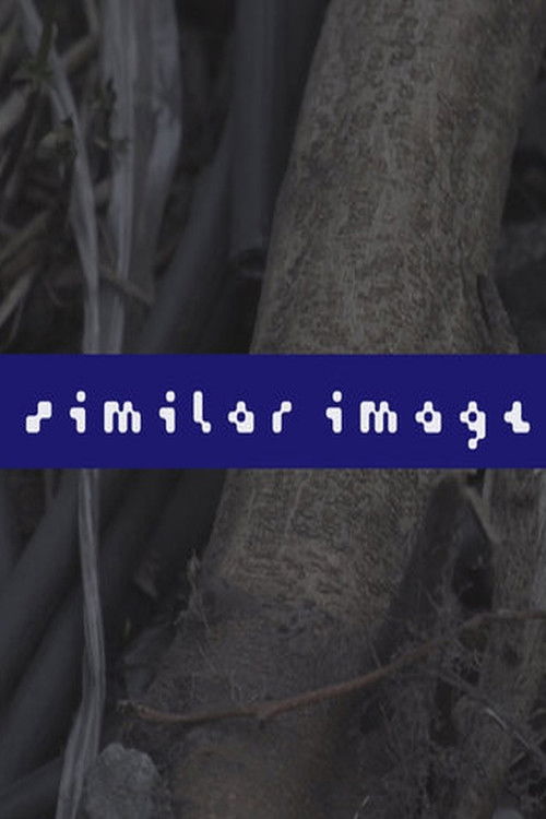 Similar Image (2021) poster
