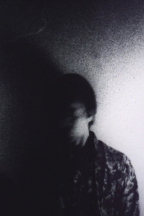 Portrait of Karel Doing (1994) poster