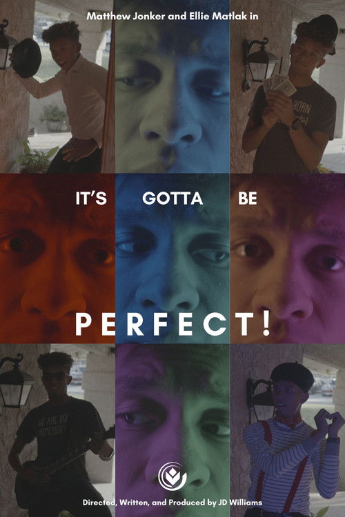 It's Gotta Be Perfect! (2024) poster
