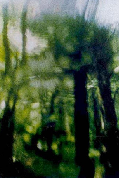 Green Canopy (1994) poster
