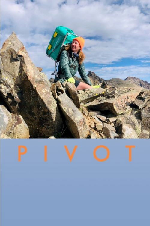 Pivot: Paying it Forward (2021) poster