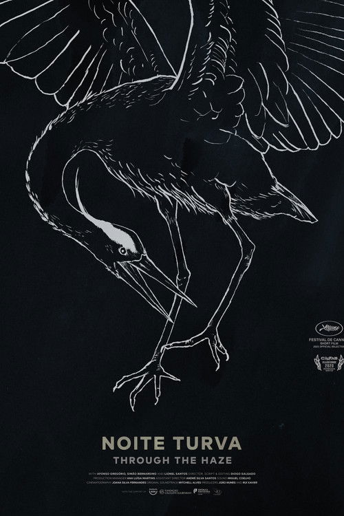 Through the Haze (2020) poster