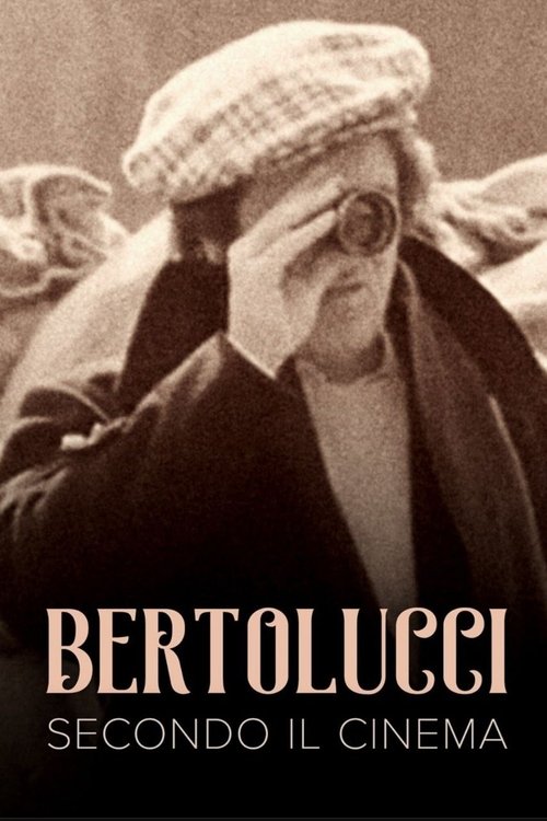The Cinema According to Bertolucci (1976) poster