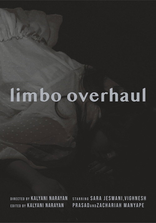 Limbo Overhaul (2024) poster