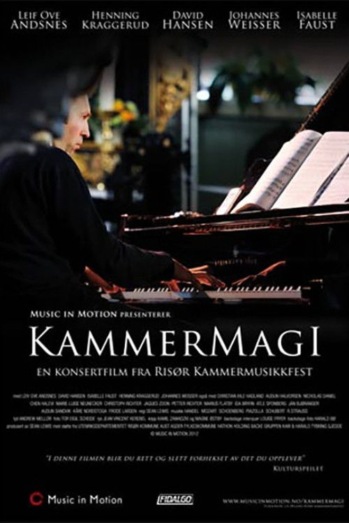Kammermagi (2012) poster