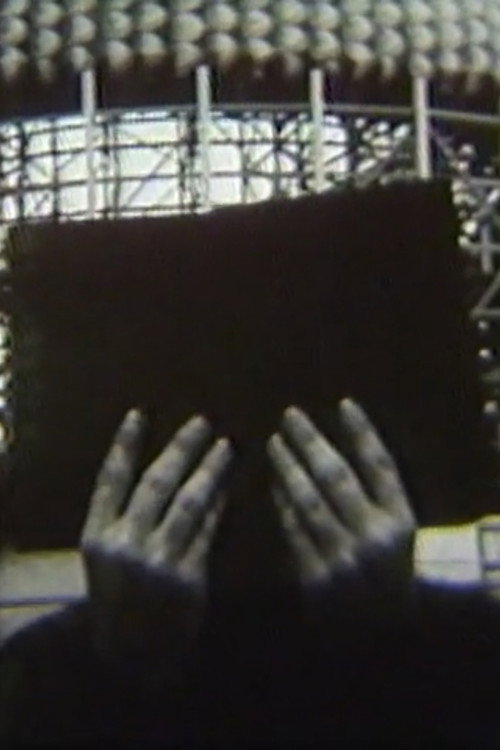 Roller Coaster/Reading (1979) poster