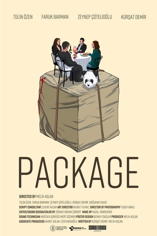 Package (2023) poster