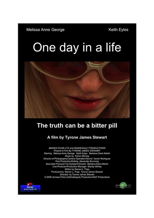 One Day in a Life (2013) poster