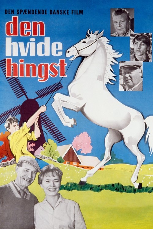 The Boy Who Loved Horses (1961) poster