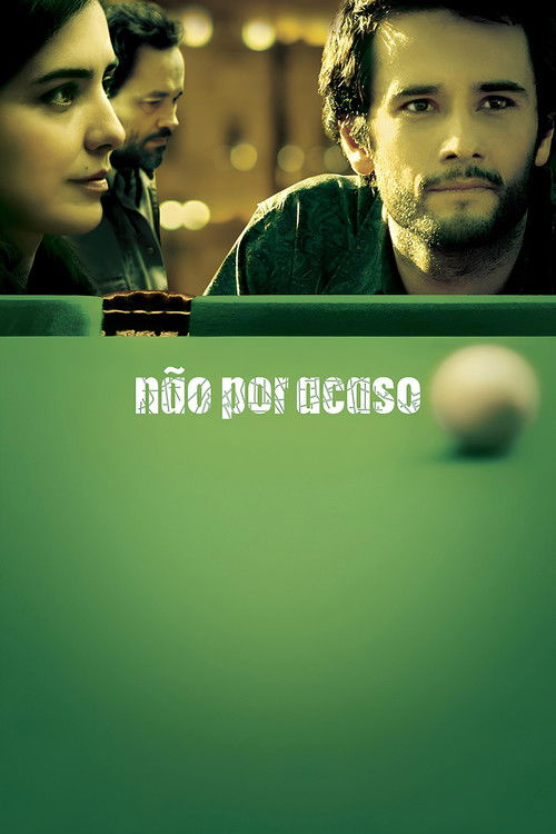Não por Acaso (2007) poster