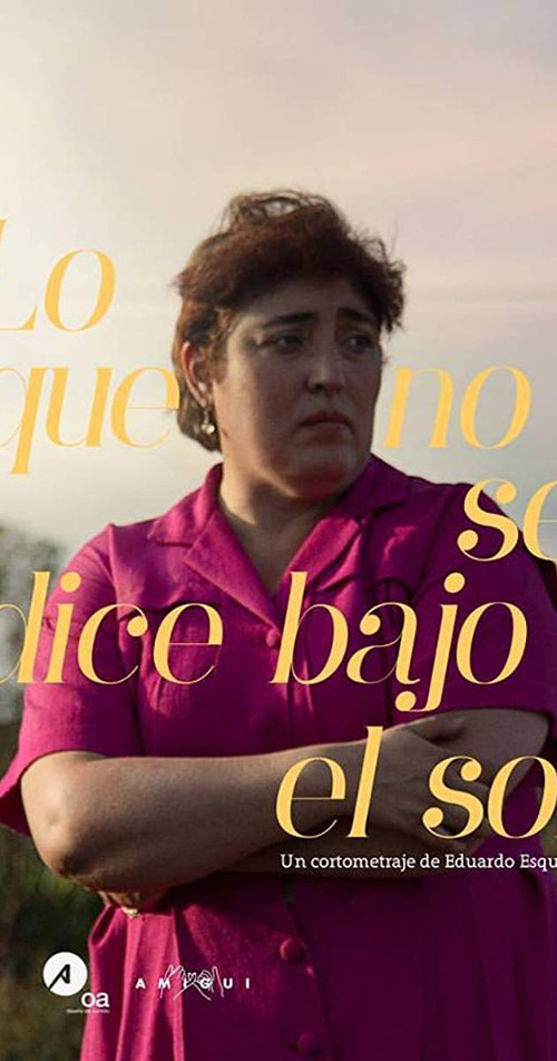 Lo Que No Se Dice Bajo El Sol (2017) poster
