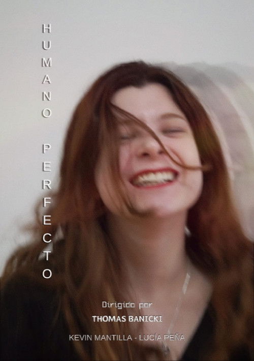 The Perfect Human poster