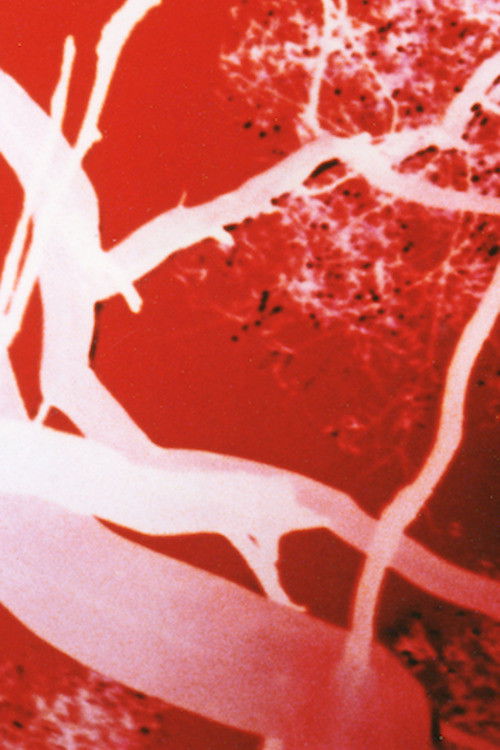 Two Women (1976) poster