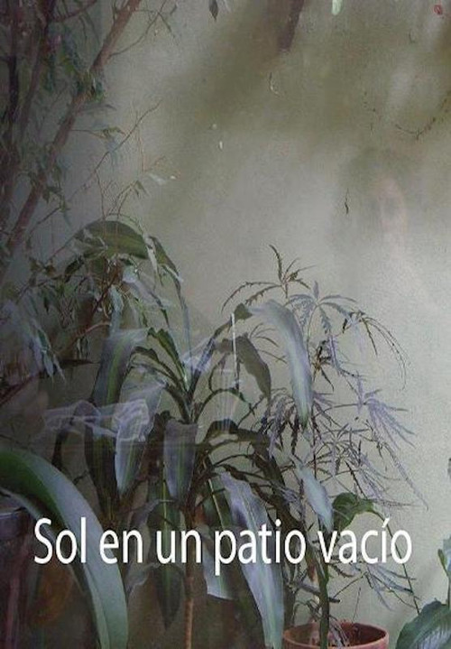 Sol en un patio vacío (2017) poster