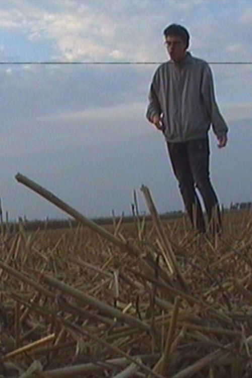 The Roots Of The Horizon (2020) poster