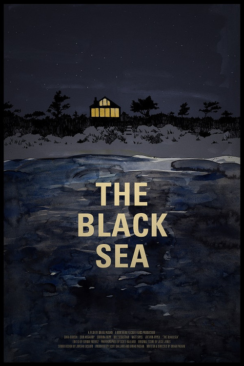 The Black Sea (2015) poster