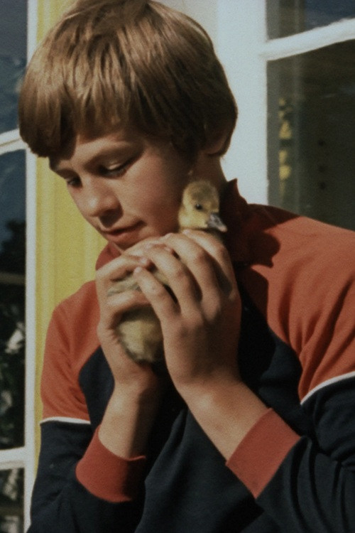 Vilsandi, mu kodu (1980) poster