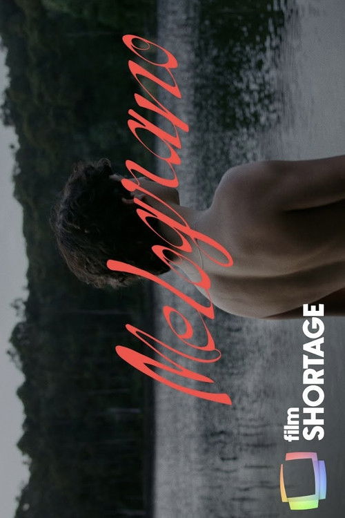 Melograno (2023) poster