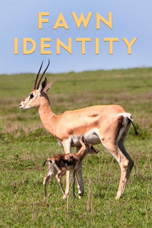Fawn Identity (2022) poster