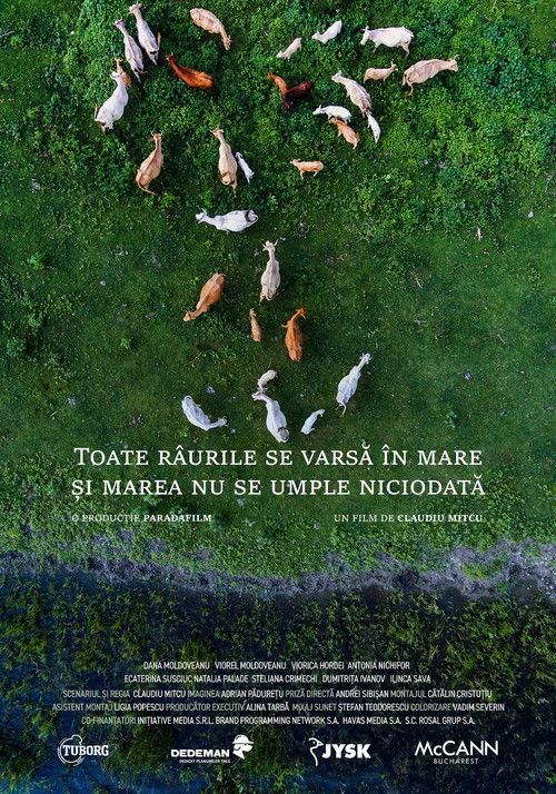 All rivers flow into the sea and the sea is never full (2020) poster