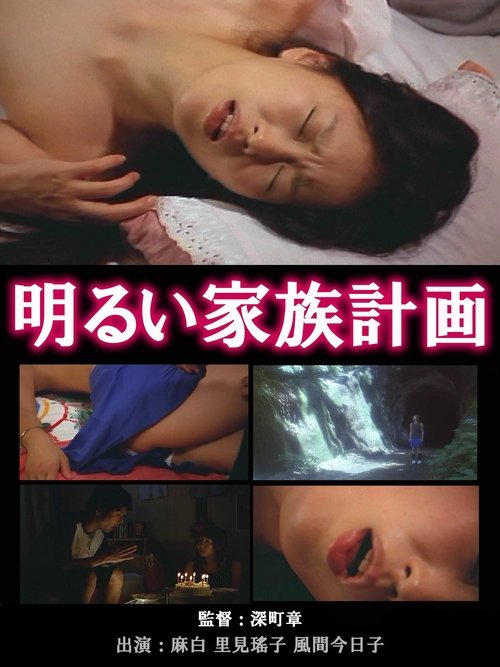 The Novelist's Affair: The Pleasures of Infidelity (2003) poster