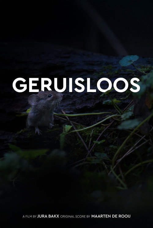 Geruisloos (2025) poster