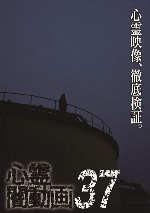 Psychic Darkness Video 37 (2019) poster