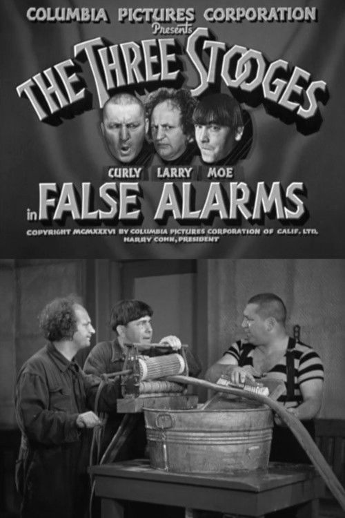 False Alarms (1936) poster