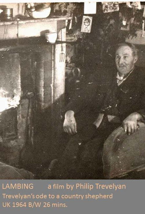 Lambing (1965) poster