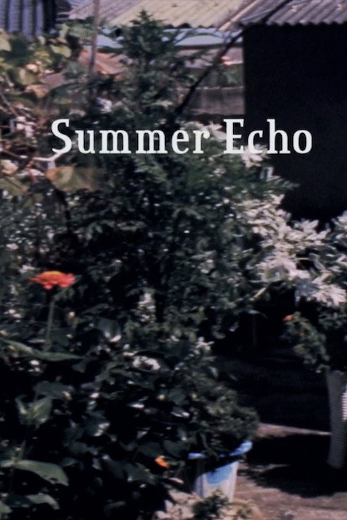 Summer Echo (2017) poster