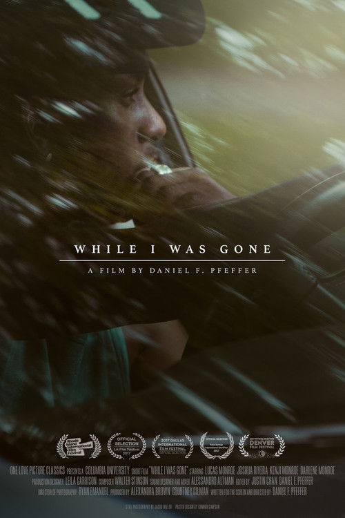 While I Was Gone (2017) poster