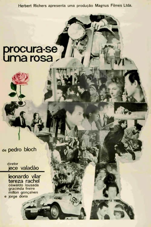 Procura-se Uma Rosa (1964) poster