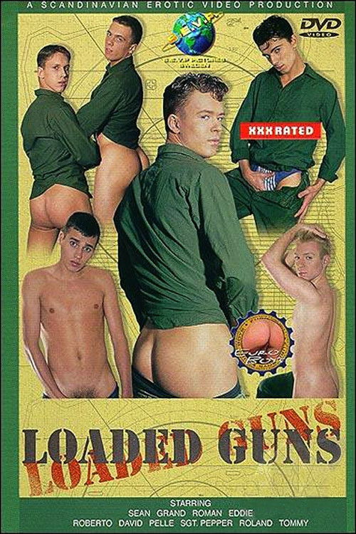 Loaded Guns (2000) poster