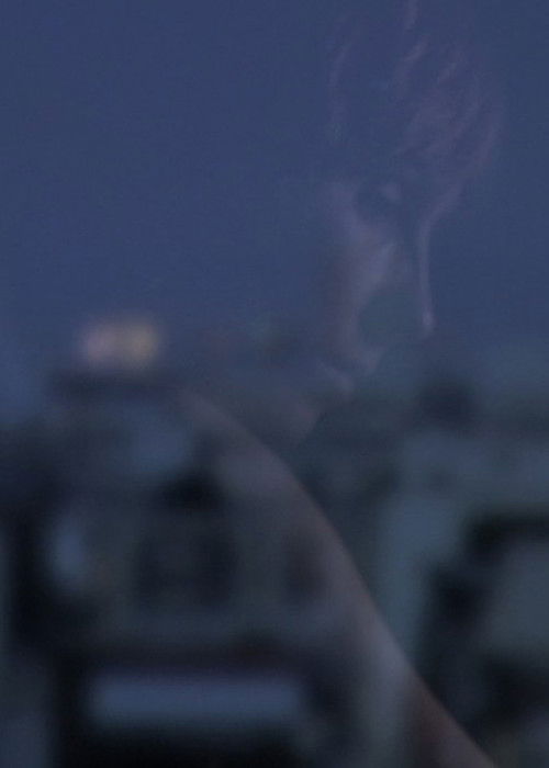 Version Française (2011) poster