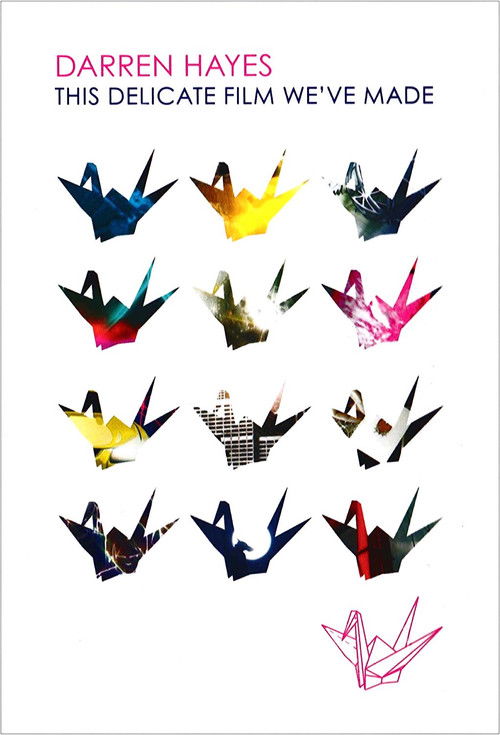 Darren Hayes: This Delicate Film We've Made (2009) poster