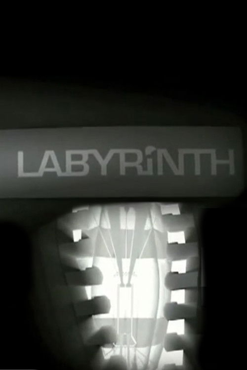 Labyrinth (2007) poster